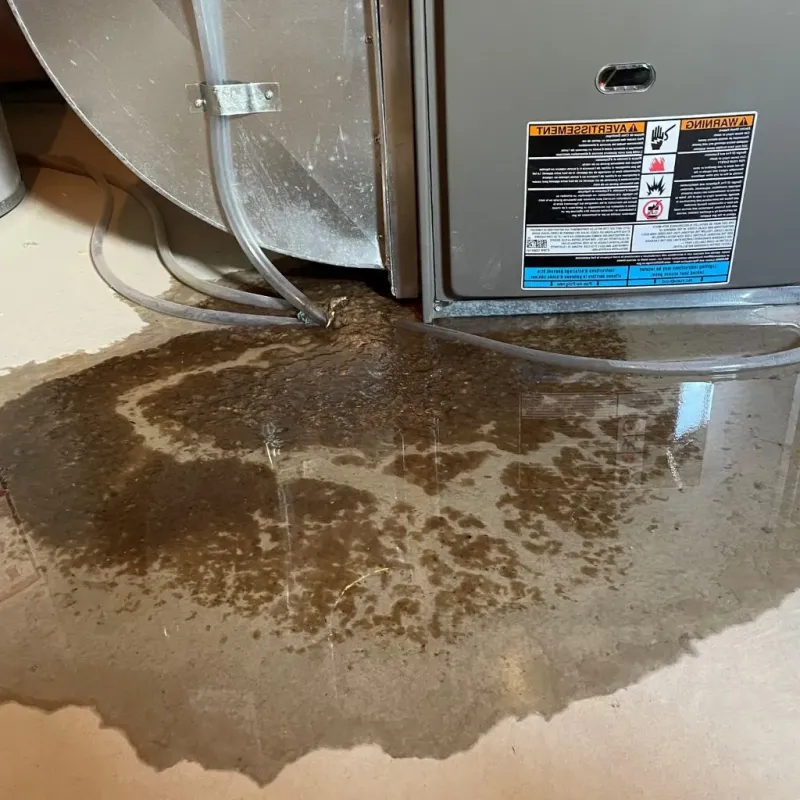 Pipe Burst and Leak Restoration in Pennington Gap, VA