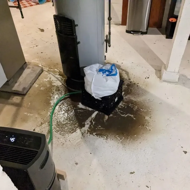 Sewage Backup Cleanup Service in Pennington Gap, VA